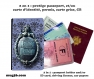 Protège passeport - disneyland phantom manor -  010