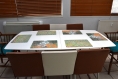 Set de table plastique, pvc, semi-rigide, design original - décoration de table - lavable et résistant -  félins - chat - bleu de russie.