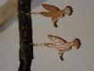 Boucle d'oreille en bois - colibris