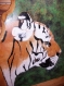 Peintre animalier : tete tigre n°2